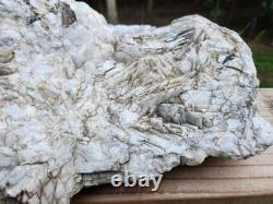 Pièce de collection unique en son genre, grand cristal de quartz blanc de 12 lbs, Monts Blue Ridge