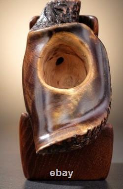 Pipe artisanale unique en son genre Darren Peditto en forme de trompe d’éléphant, non fumée, freehand