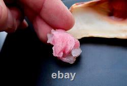 Remarquable spécimen rare de rhodochrosite rose et de quartz unique en son genre à Silverton, Colorado