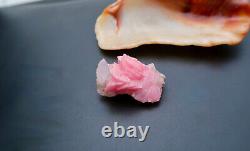 Remarquable spécimen rare de rhodochrosite rose et de quartz unique en son genre à Silverton, Colorado