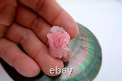 Remarquable spécimen rare de rhodochrosite rose et de quartz unique en son genre à Silverton, Colorado