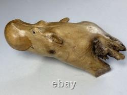 Sculpture en bois de racine d'hippopotame rare unique belle 8x6 pièce unique