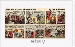 Spider-man Daily & Sunday Strips 1ère Année Complète (1977) Une Des Feuilles