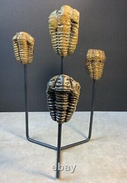 Statue de Trilobites Authentique Unique Fait Main One-of-a-Kind