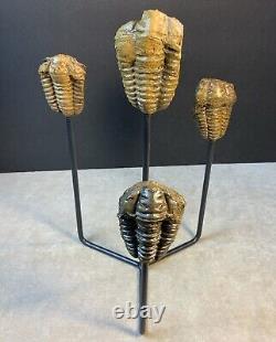 Statue de Trilobites Authentique Unique Fait Main One-of-a-Kind