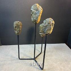 Statue de Trilobites Authentique Unique Fait Main One-of-a-Kind