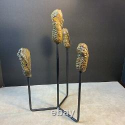 Statue de Trilobites Authentique Unique Fait Main One-of-a-Kind