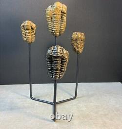 Statue de Trilobites Authentique Unique Fait Main One-of-a-Kind