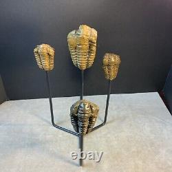 Statue de Trilobites Authentique Unique Fait Main One-of-a-Kind