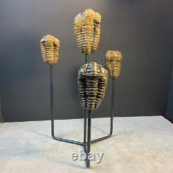 Statue de Trilobites Authentique Unique Fait Main One-of-a-Kind