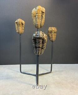 Statue de Trilobites Authentique Unique Fait Main One-of-a-Kind