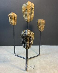 Statue de Trilobites Authentique Unique Fait Main One-of-a-Kind
