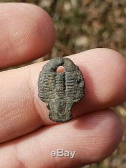 Super Rare Kind Fossil Trilobite Pendentif De L'utah Stermer Coa