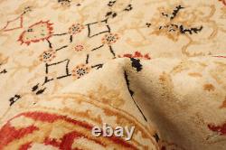 Tapis de sol en laine traditionnel à bordure noué à la main 3'10 x 6'1