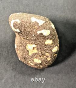 UNIQUE EN SON GENRE ! Roche très unique avec des lettres et des chiffres naturellement présents