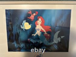 UNIQUE - Imprimé encadré de La Petite Sirène - Objet de collection Walt Disney World