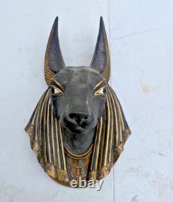 Un dieu égyptien unique en son genre Anubis Anubis le puissant docteur Anubis rb8-2