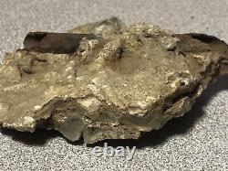 Un spécimen de cristal de quartz unique en son genre