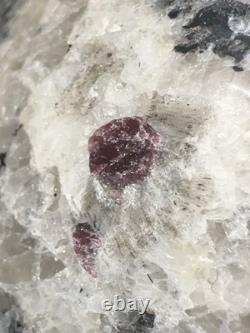 Unicaine Superbe Crâne en Grenat Amandine et Pyrite. 1,3 livres