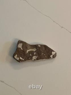 Vache rock unique en son genre